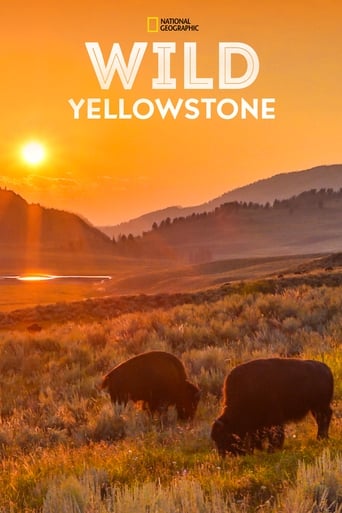 Wild Yellowstone Season 1