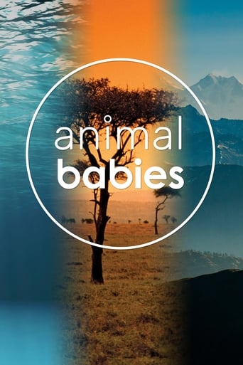 Animal Babies Season 1
