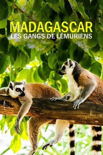 Gangs of Lemur Island Season 1